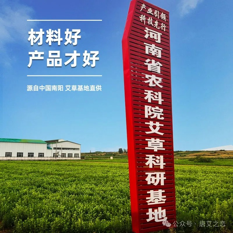 重磅！唐艾公司喜獲“省重點龍頭企業”榮譽！